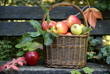 Apples fruit autumn yellow red leaves vitamins basket wooden table still life