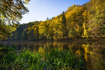 idyllischer Waldsee im Herbst