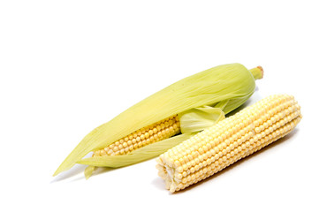 Isolated corn. Two ears of sweet corn peeled and with leaves isolated on white background with clipping path