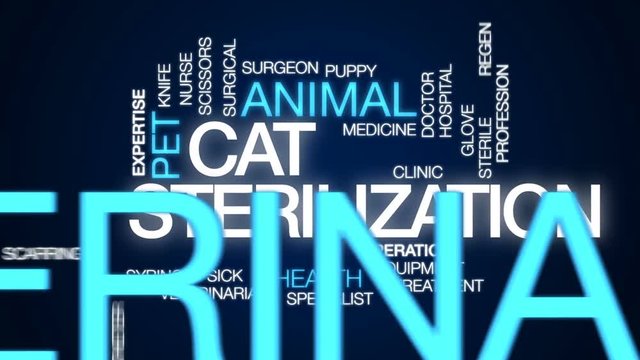 Cat sterilization animated word cloud, text design animation.