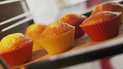 Baking sheet with fresh baked muffins in hot oven. View from inside of the oven. Chef takes the cupcakes out of the oven. Using colorful silicone baking molds for making muffins and cupcakes.