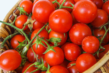 Fresh garden tomatoes in a basket,