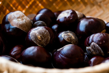 Horse Chestnuts in wooden basket