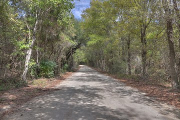 Naklejka premium A dirt road in Texas