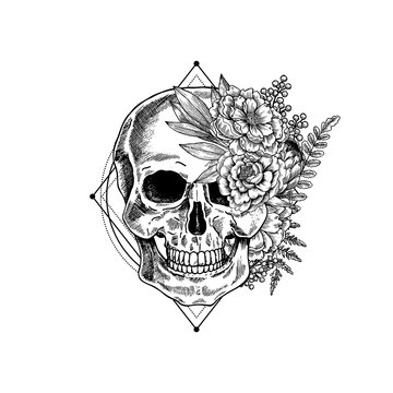 Halloween floral vintage skull illustration. Human skeleton. Vector illustration