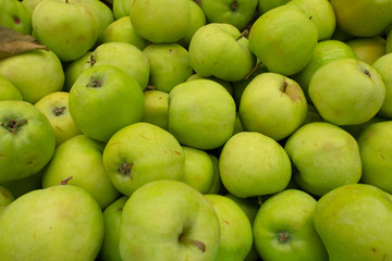 seasonal apples