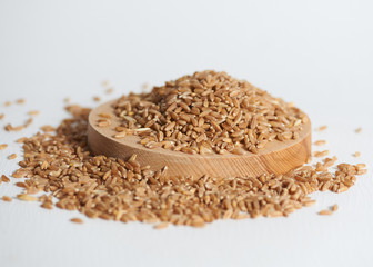 wheat grains isolated on white background