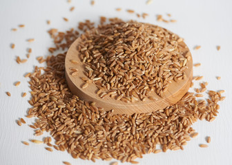 wheat grains isolated on white background