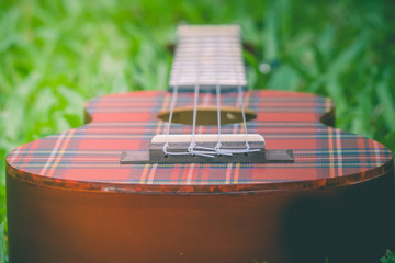 Abstract image close up of musical instrument ukulele guitar on green grass in vintage style. (Selective focus)