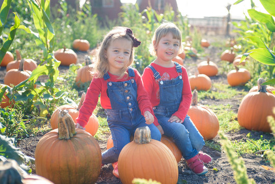 Happy girls sitting on big pumpkin at farm field patch