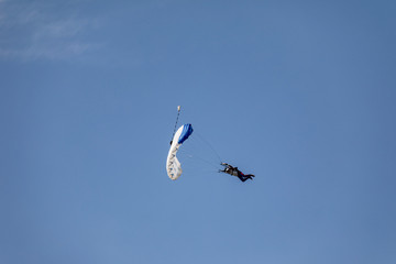 Skydiver in the sky