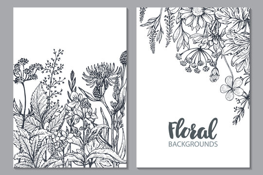 Floral backgrounds with hand drawn herbs and wildflowers.