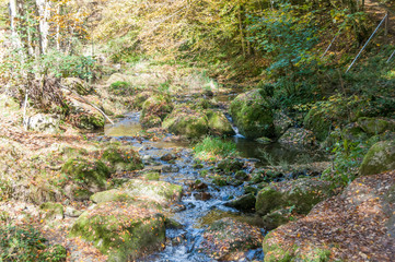 small idyllic pond in the autumn forest