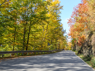 Straße im Herbst