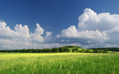 Summer meadow and grasslands with cloudy blue skies. Fresh green summer meadow, near Pannonhalma in Hungary