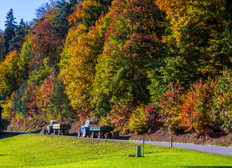 Fototapeta premium schöner Tag im Herbst