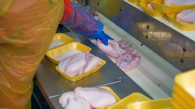 A factory worker at a chicken breast packing line. 