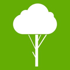 Tree icon green