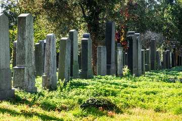 Naklejka premium Friedhof