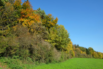 Herbstlandschaft