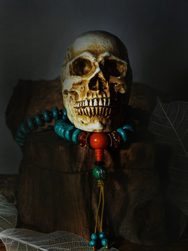 Still life photography human skulls and  bead necklace in dark vintage tone