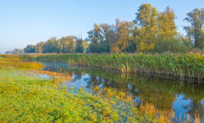 Shore of a lake at sunrise in autumn