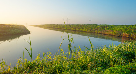 Canal through a misty field at sunrise in autumn