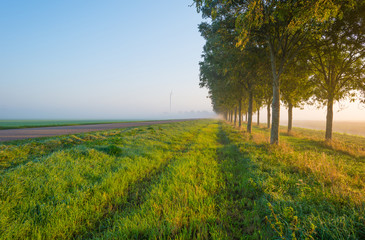 Road through a misty landscape at sunrise in autumn
