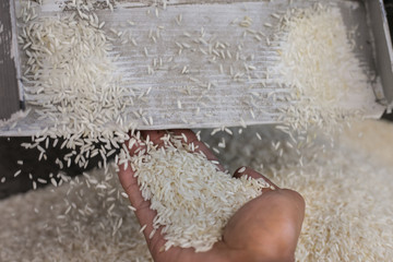 Close up of milled rice during rice mill machine working. © nipol
