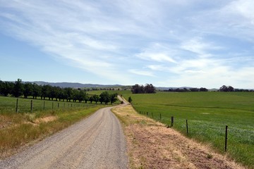 Fototapeta premium The dirt road in a farm, Victoria, Australia