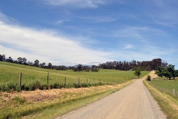 Fototapeta na wymiar The dirt road in a farm, Victoria, Australia