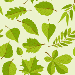 Leaves pattern - seamless modern material design background