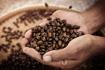 roasted coffee beans, can be used as a background.