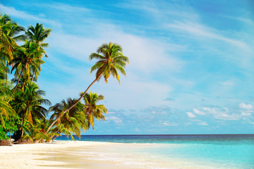 Obraz na płótnie Canvas tropical sand beach