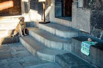 Entr&eacute;e interdite pour les chiens dans la cath&eacute;drale Notre-Dame-du-Puy