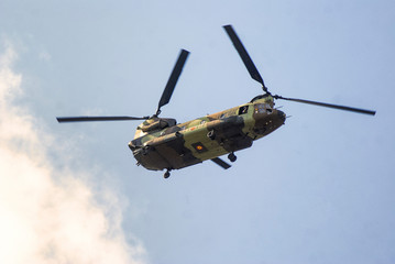 Chinook