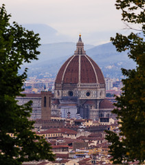 Fototapeta na wymiar Il Duomo Through the Trees