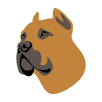 dog face head vector illustration style flat