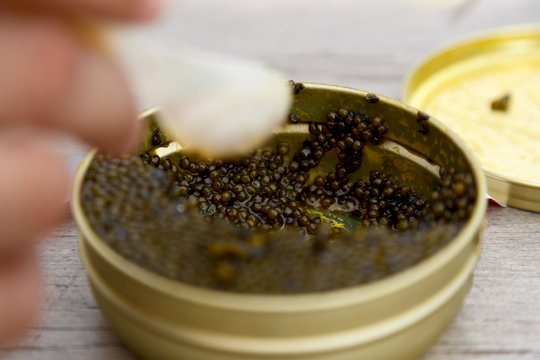 caviar 