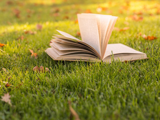 Autumn mood. Open book in the sunlight on the green grass.