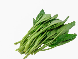 Fototapeta premium Vegetable, Salad, Food, Lettuce, Springtime