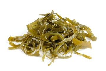 Kelp (Laminaria) Seaweed Isolated on White Background