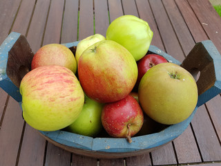 Alte Apfelsorten, verschiedene, Apfel, Malus, domestica