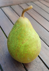 Graefin von Paris, Birnen, Alte Birnensorte, Pyrus communis