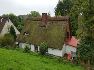 Fototapeta na wymiar Reetdachhaus, Friesenhaus, Niedersachsen, Altes, Haus