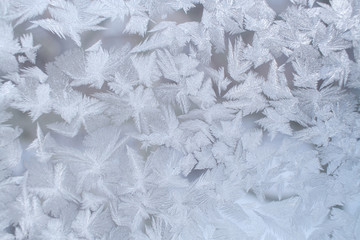 Winter frosty pattern on window pane with big fancy snowflakes.