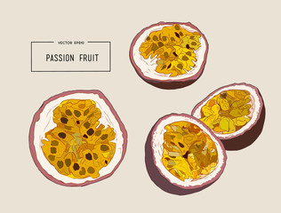 Passion fruit vector illustration