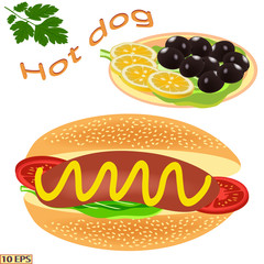 Hot dog with sausage. Delicious hot dog. Tasty hot dog with sausage, mustard and ketchup. Fast food. Vector illustration.