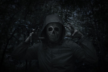 Human skull in jacket over spooky tree and forest at night time, Halloween concept
