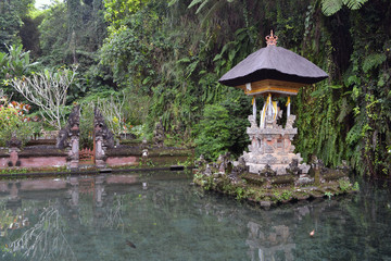 The temple (called "pura" in Balinese) around Ubud in Bali